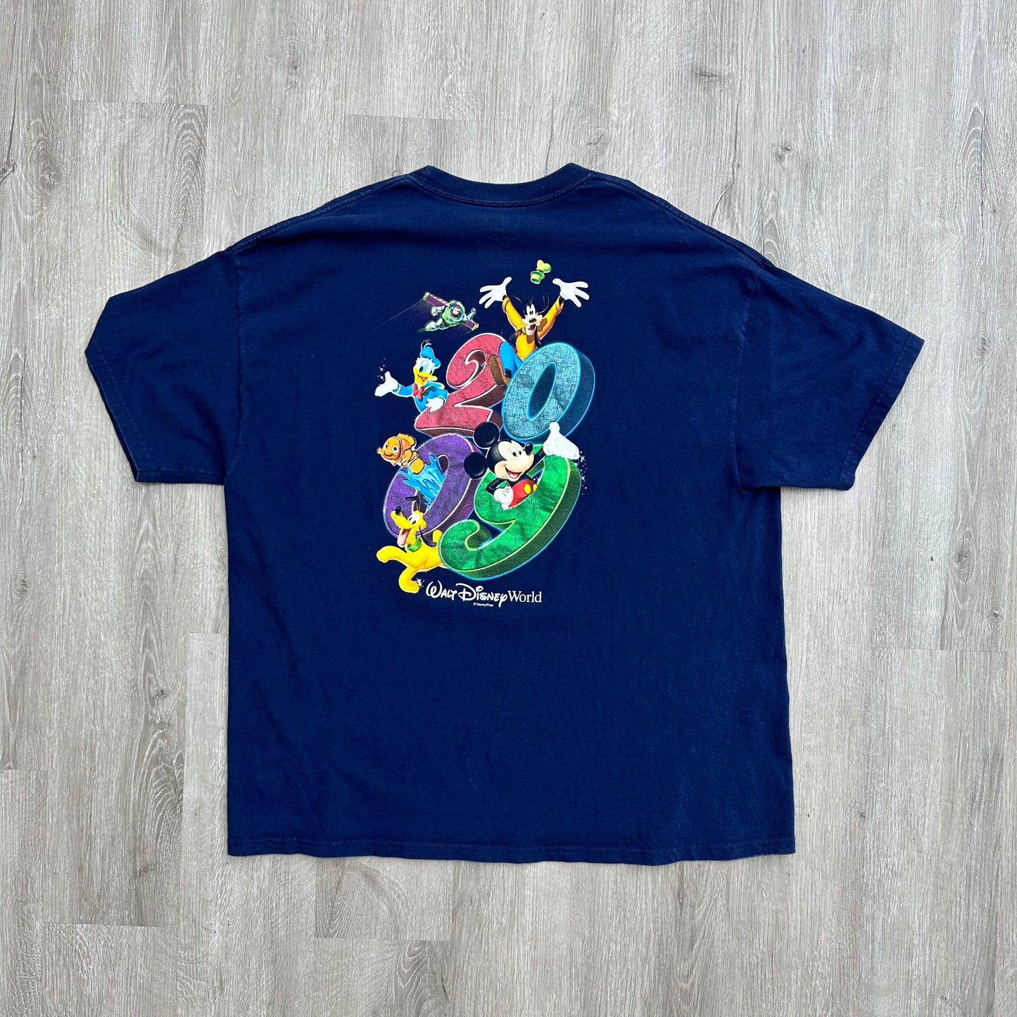 2009 Walt Disney World Tee Sz XXL (Vintage)